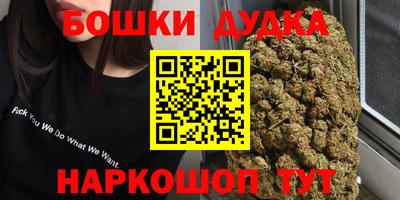 PSILOCYBIN Кулебаки