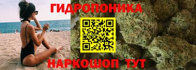 сатива Лесосибирск