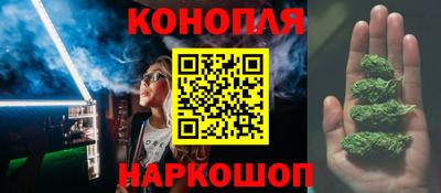 сатива Лесосибирск