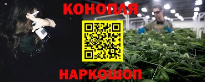 сатива Лесосибирск