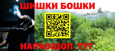 сатива Лесосибирск