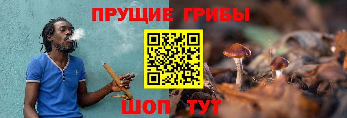 Черногорск  Галлюциногенные грибы Psilocybe  Галлюциногенные грибы Psilocybine cubensis  Вход с VPN 
